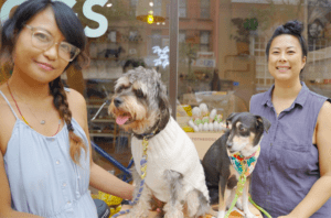 Wild Web Women Interview with Jennifer and Santos, co-founders of Gone to the Dogs